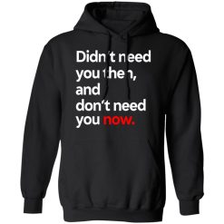 Didn't Need You Then And Don't Need You Now T-Shirts, Hoodies, Long Sleeve 43