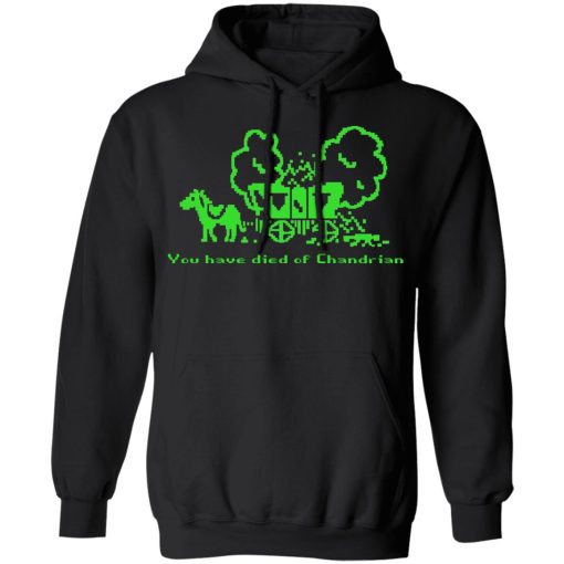 You Have Died Of Chandrian T-Shirts, Hoodies, Long Sleeve 19