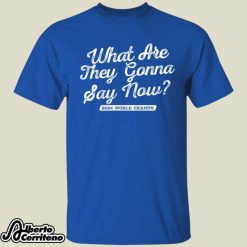 Los Angeles Baseball What Are They Gonna Say Now Shirt